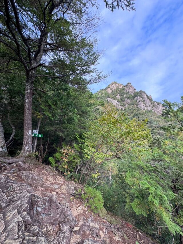 雪彦山へアクセスや登山情報を紹介😃  日本三彦山の一つ、雪彦山は序盤から急登の連続で始まり途中からは岩登りになりますほどよく整備された登山道では大きな岩や展望水墨画の世界のような大天井岳など楽しみがいっぱいです  そんな雪彦山へのアクセスや登山情報はプロフィールのリンク先から見れます  #雪彦山 #登山記me #山登り