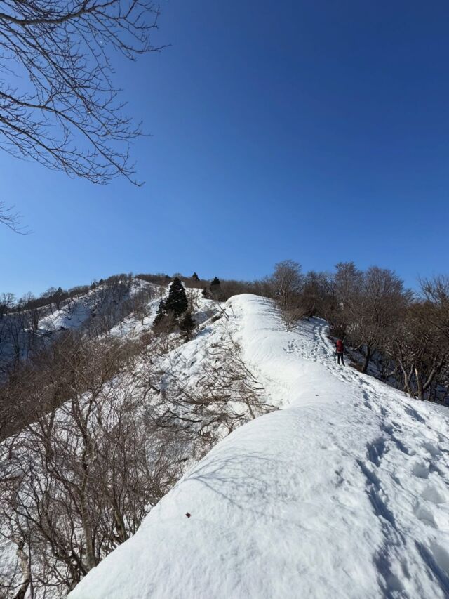岐阜県、貝月山😃めっちゃいい山でした🙌  東海百名山の一つ、貝月山は急登がなくなだらかに登っていきます。標高は1234mと面白い標高です🤣  山頂からは伊吹山や能郷白山など雪山の景色が広がっていました！  #貝月山 #東海百名山 #登山 #山登り