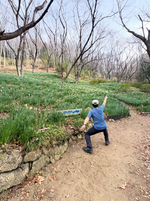 久々に大阪の高尾山へ😃登ってきました！  朝早くに二上山を超える竹内街道がスリップ事故だらけ😱雪道でトラックやダンプカー、普通の車が滑って大惨事の地獄になってました💦  そんなスタートでしたが、山の中も寒くてビュービュー吹かれながらも無事に水仙🌼山頂では大納言スープやRootsコーヒーを楽しむことが出来ました🙌🙌  #高尾山 #かしはら水仙郷 #水仙 #登山 #山登り