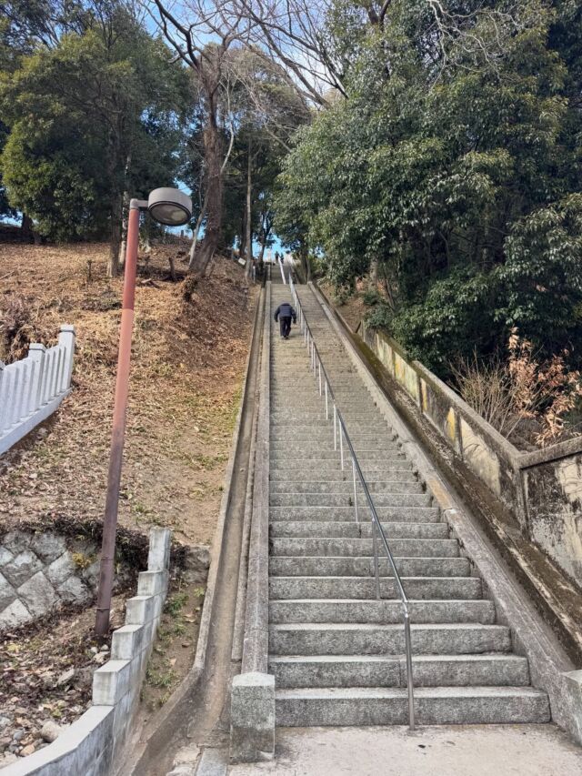 めっちゃ壁😱男山に上ってきます！  #登山 #山登り #男山 #姫路城