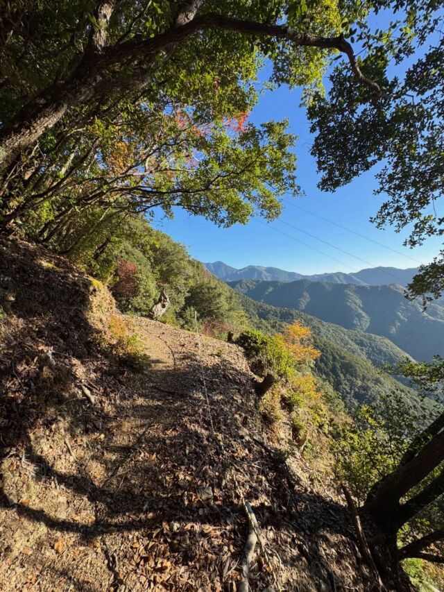 大峰奥駆道『五大尊岳』に挑んできました  奈良・大峰奥駆道の霊峰、五大尊岳（約852m）へ！山在峠からスタートして距離8.4km・標高差964mのコース。中盤からロープが続く急登で、アップダウンも容赦なし。苦労した分だけ、山の深さと達成感が最高でした  五大尊山へのアクセス、登山情報はプロフィールのリンク先から見れます😃  #登山 #登山記me #登山記録 #五大尊岳 #大峰奥駆道 道