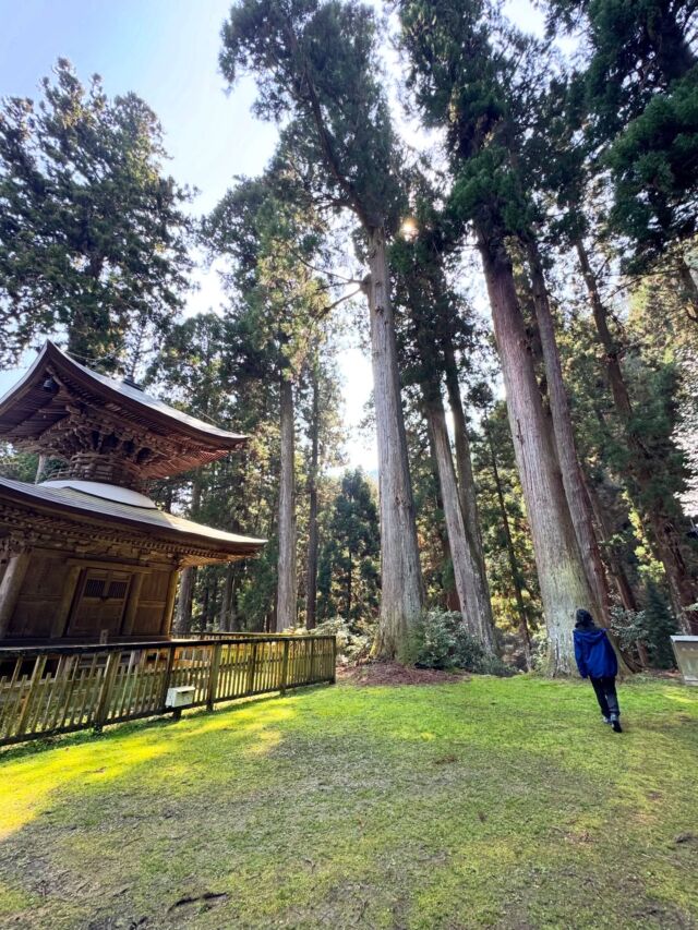 今日は長男と岩湧山へ😃登ってきました！  登山2回となる長男は今回はモンベルシューズ👟私のかつて使ってた靴を貸してあげました！  初めての登山靴に感動する長男🤣登りやすかったそうです！笑岩湧山へは、まさかの健脚コース！何とか登り切り山頂では美味しいご飯を食べてきました  楽しい一日になりました😃明日は野焼きで登れないのでご注意を⚠️  #岩湧山 #登山 #山登り #ダイヤモンドトレール