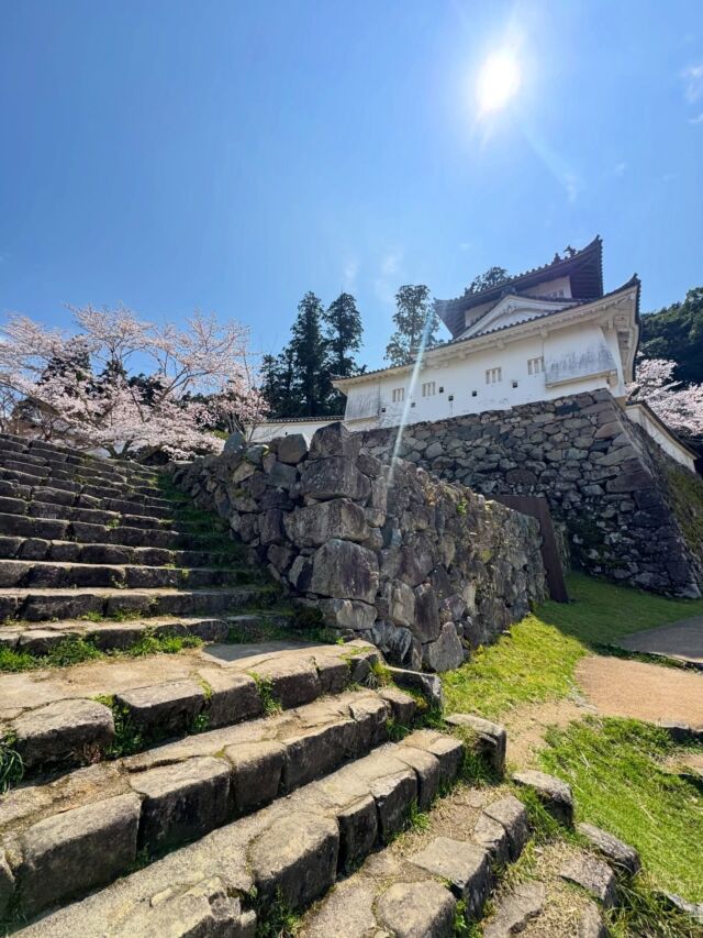 人生初！出石に😃ちょろっと観光🙌  今日は出張で出石までやってきました🚗初めてかも出石🤣実はこの周りはウロウロと何度も通っていてすぐ近くには去年に登った東床尾山も！  平日なのに賑わい出石城からの眺めは青空も気持ちよく最高でした😃人生初の出石蕎麦も美味しかったです！  いや〜仕事忙しいわ〜〜🤣  #出石 #出石蕎麦 #出石城 #お花見さんぽ🌸