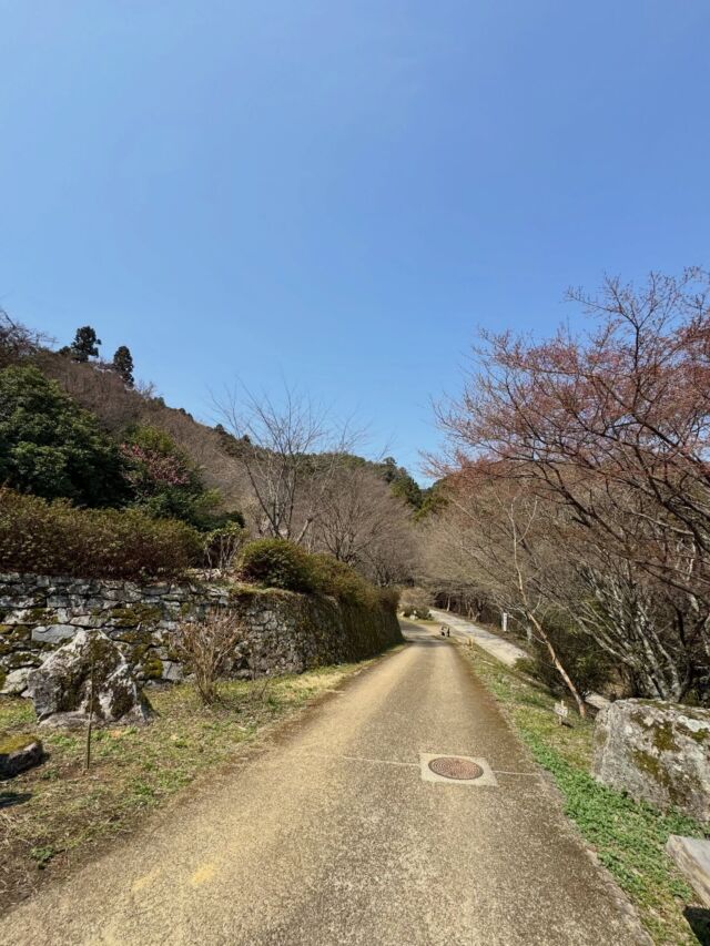 岩湧山へ登ってきます👍  #登山 #山登り #岩湧山