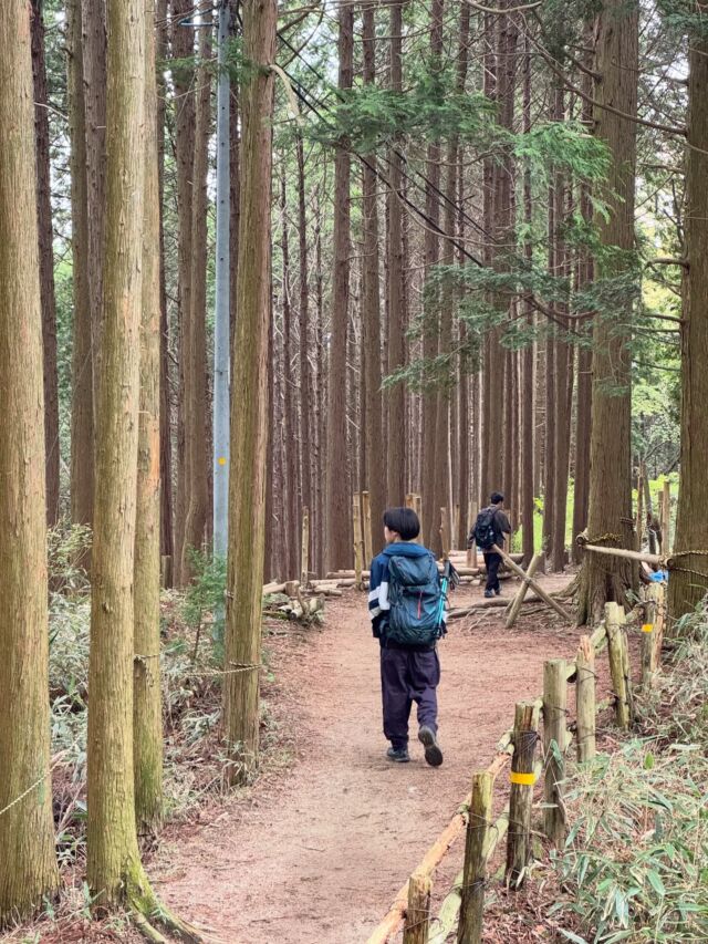 金剛山のカトラコース😃ニリンソウが！！  今日は長男と3男でカトラコースに挑戦💪高いところも難なくクリア🤣平気なようです。  緑色のニリンソウは見れませんでしたが、一面に咲くニリンソウは真っ盛り🌼千早城址やパワースポットに寄ったりRootsコーヒーでまったり休憩して無事に帰宅しました😃  長男、3男は車に乗った瞬間に寝てました🤣  #金剛山 #金剛山好きな人と繋がりたい #カトラ谷 #ニリンソウ #登山