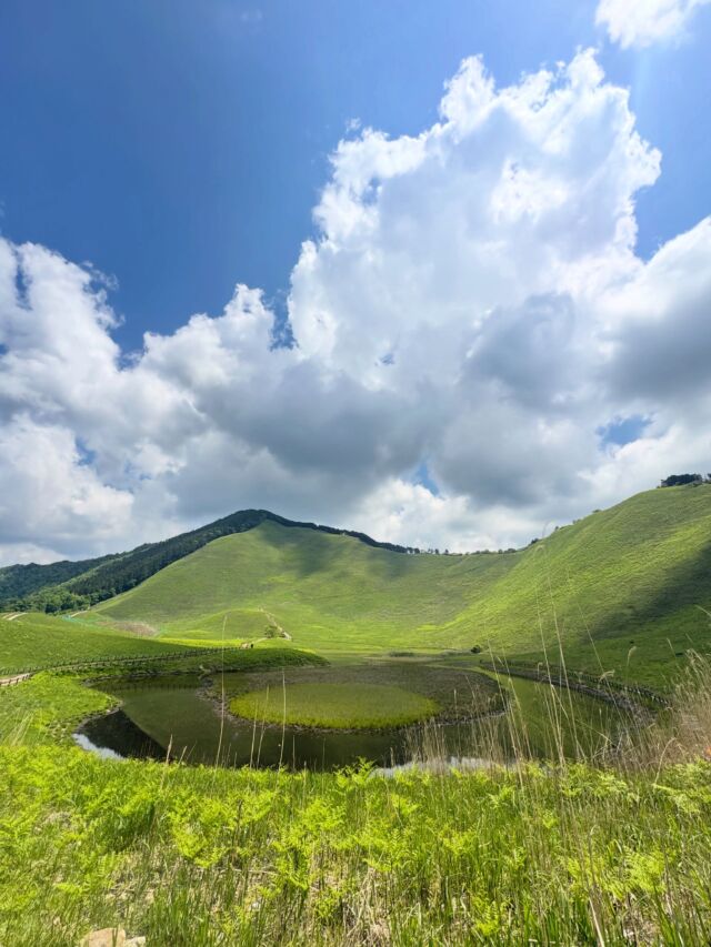 曽爾高原😃倶留尊山登ってきます！  #曽爾高原 #倶留尊山 #登山 #山登り