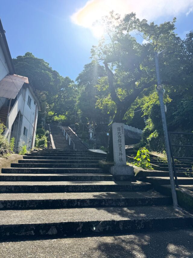 高尾山へ絶景を見に😃登ってきます  #関西登山 #低山 #高尾山 #山登り