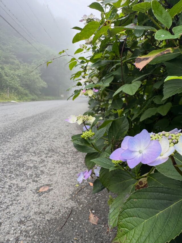 今から金剛山😃登ってきます！  #関西登山 #金剛山 #金剛山好きな人と繋がりたい #登山 #山登り
