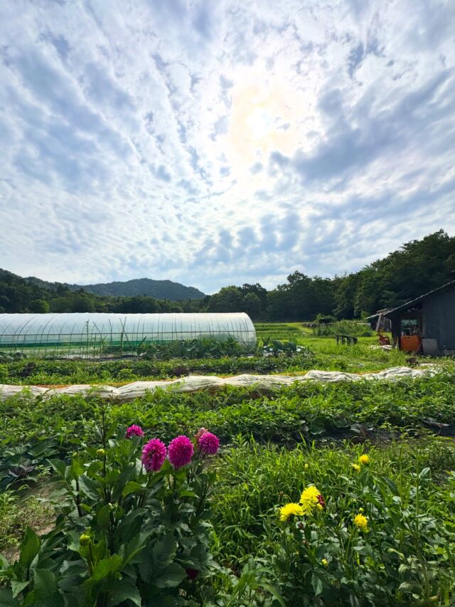 久々の金勝アルプス😃登ってきます🙌  #関西低山 #登山 #山登り #金勝アルプス #天狗岩