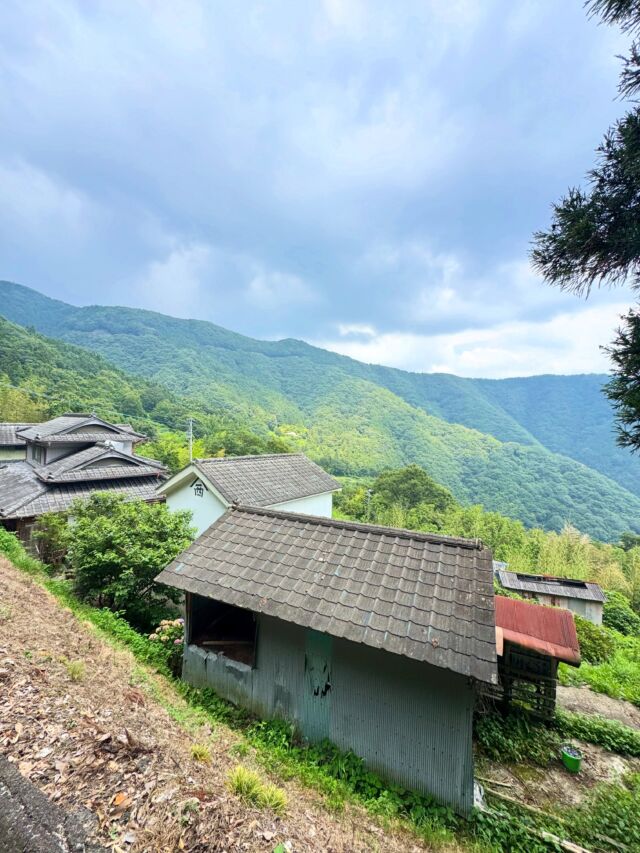四国百名山、2座😃山頂まで車で登れる山  大滝山、竜王山と四国百名山の山を山頂まで車で登ってきました🙌  ただし林道はそれなりに長く、落石があったりで出動しなければならない場面も💦関西百名山の秘境よりはマシですが🤣  こんな山の上にも集落があったりと面白い景色がたくさんありました！  #四国百名山 #竜王山 #大滝山 #登山 #山登り