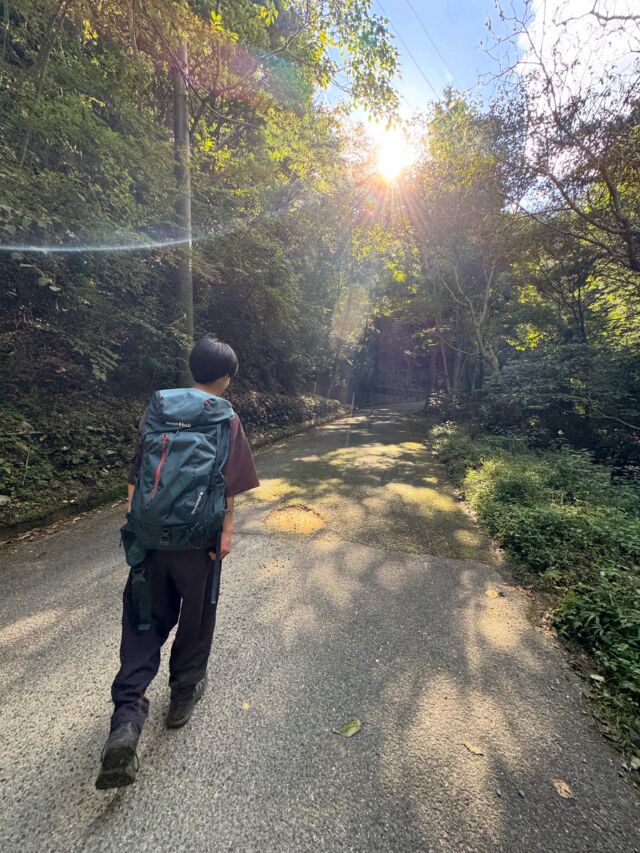ススキを見に岩湧山へ😃  #岩湧山 #ススキ #登山 #山登り #ダイトレ